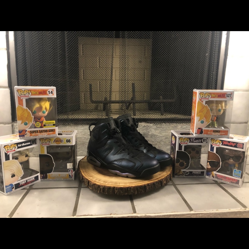 Retro Jordan 6 chameleon (used)